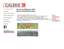 Tablet Screenshot of galeriek.cz